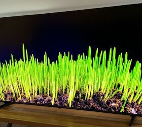 The TV That’s Built Around What Matters Most | CE-Sphere